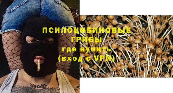 ешки Белоозёрский