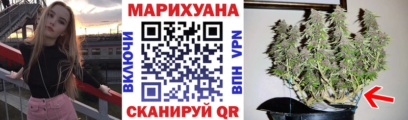 Канабис SATIVA & INDICA закладка Реутов